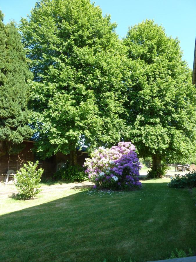 'Chez Lulu' - Gite Cocon Avec Bain Nordique Ardenne Nassogne Exteriör bild