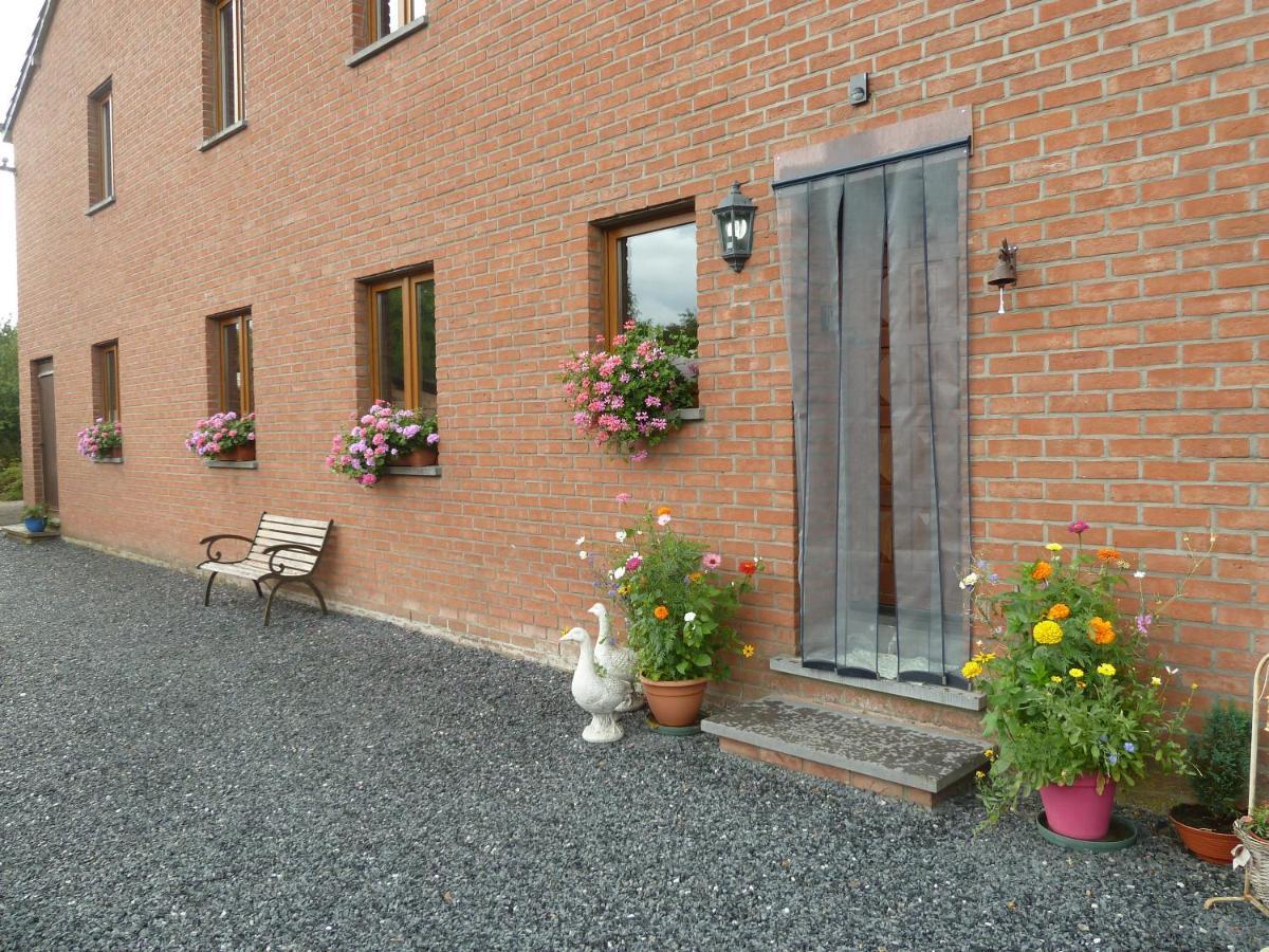 'Chez Lulu' - Gite Cocon Avec Bain Nordique Ardenne Nassogne Exteriör bild