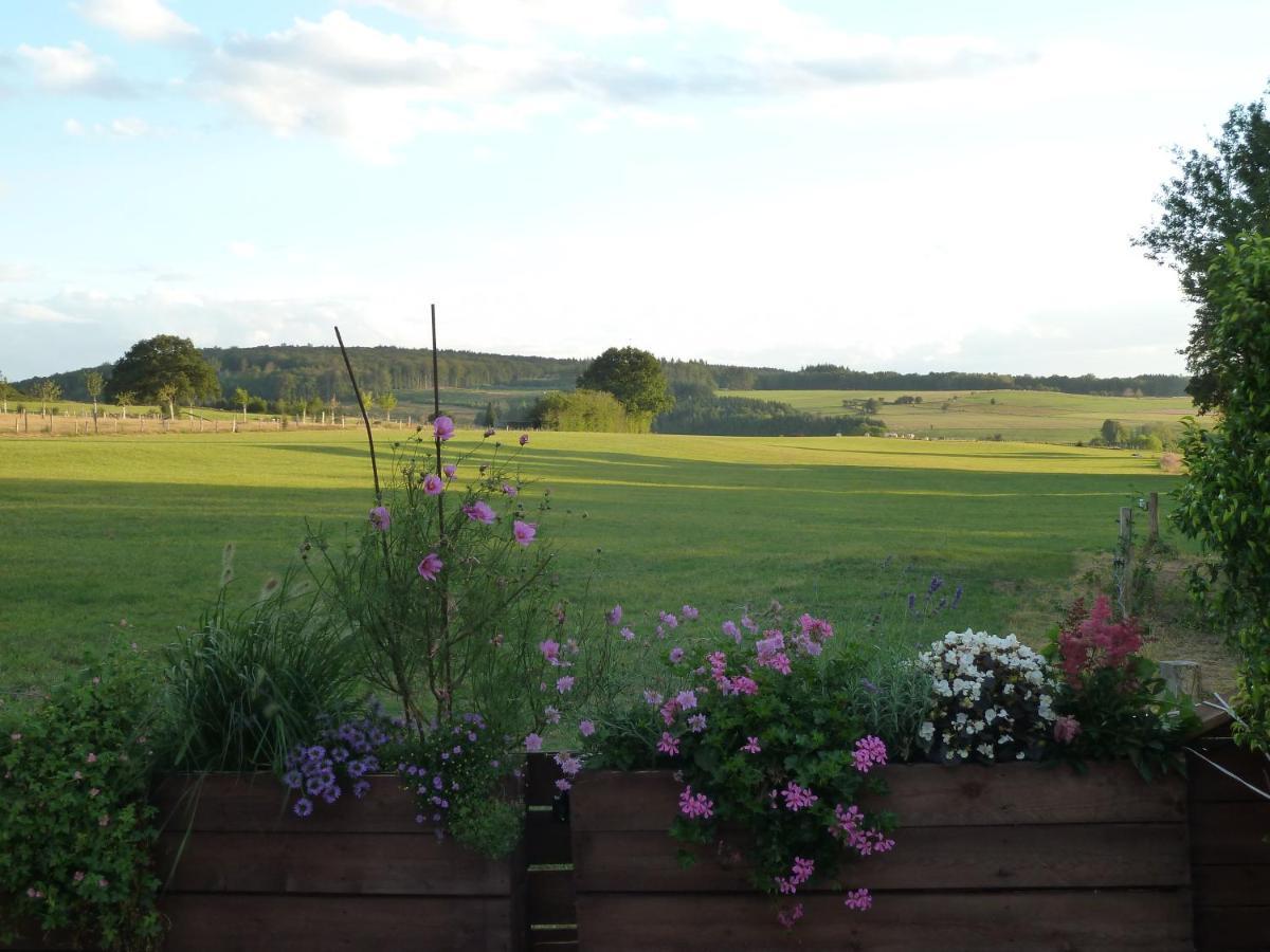 'Chez Lulu' - Gite Cocon Avec Bain Nordique Ardenne Nassogne Exteriör bild